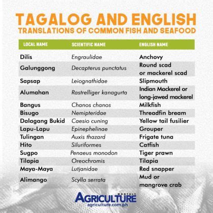 bonito fish in tagalog|ENGLISH AND LOCAL COMMON NAMES .